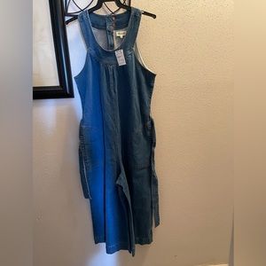 Women Blue Jeans Overall
